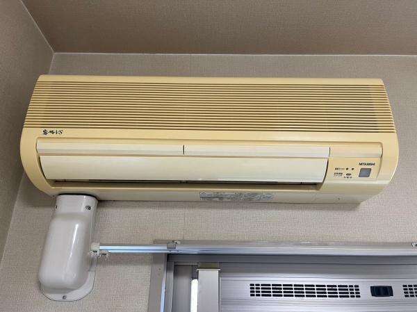 エバーグリーン植政