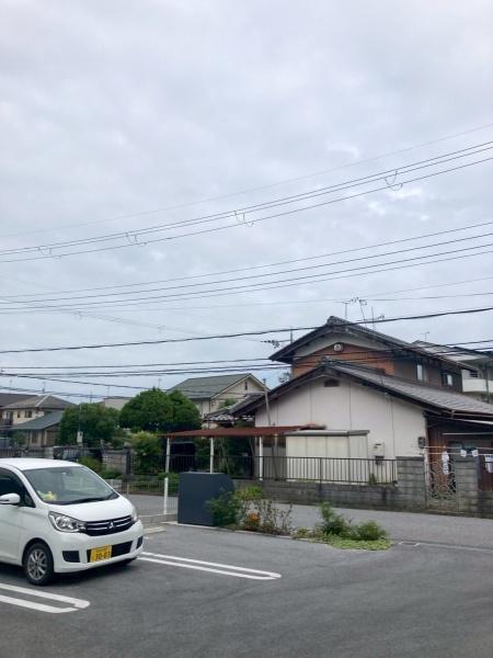 ルピナスガーデン