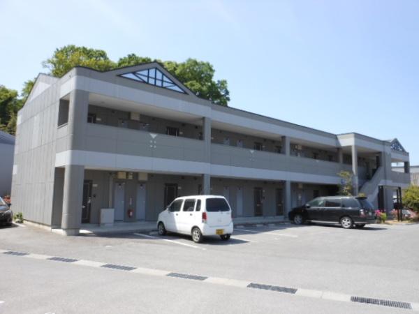 向日葵