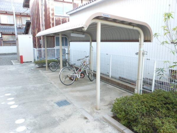 ライブ　ウィル