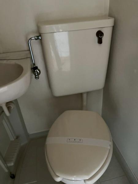 ホワイトハイツ