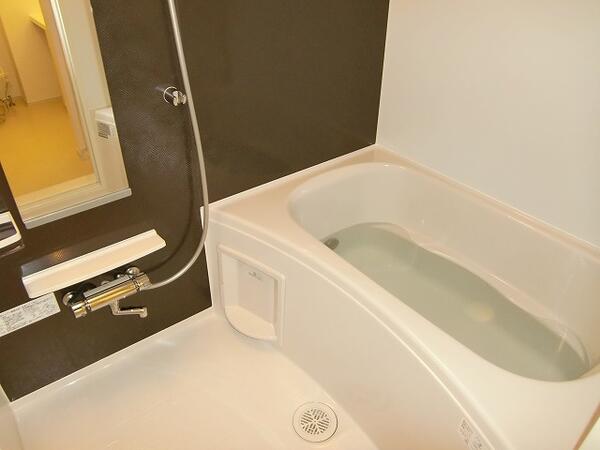 ラフェリア