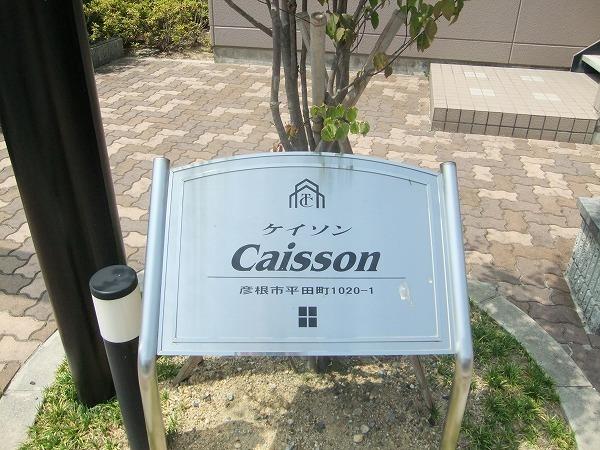 ケイソン