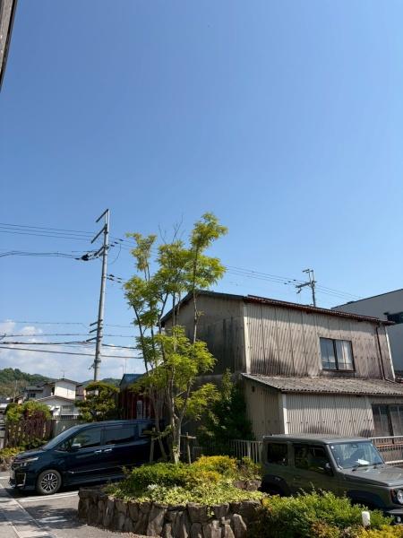 フルール・ド・リス