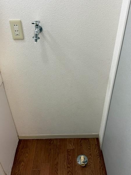 ＭＡＩＳＯＮ　ＬＵＮＡ