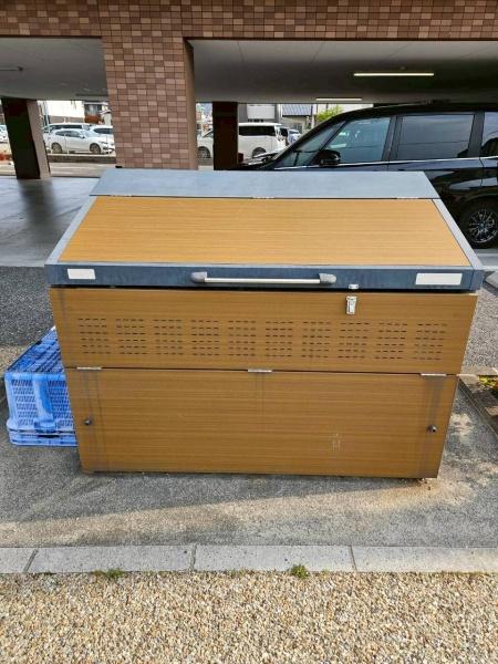 ドリーム　カム