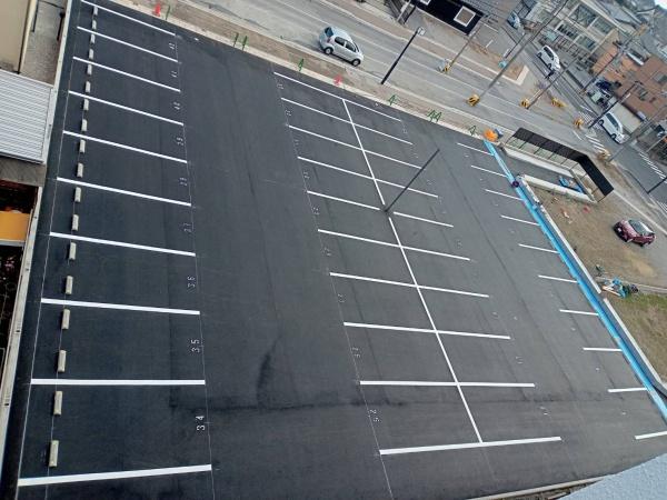 フォンテーヌ金亀