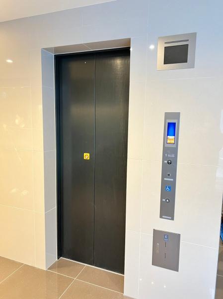 フォンテーヌ金亀