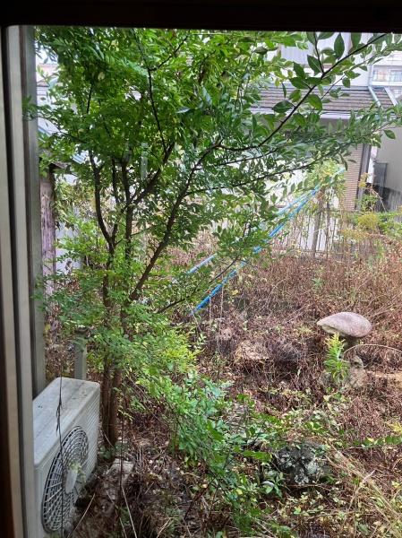芹橋一丁目戸建借家