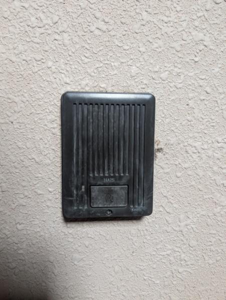 エバーグリーン植政