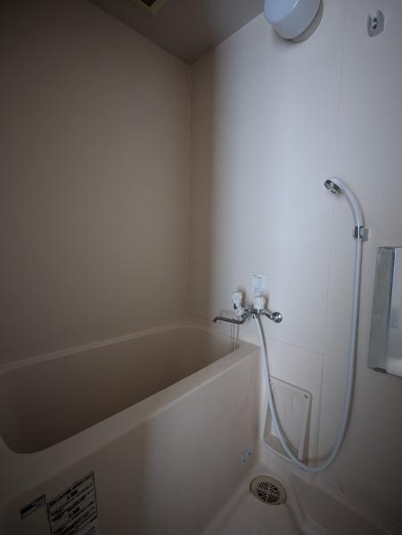 エバーグリーン植政