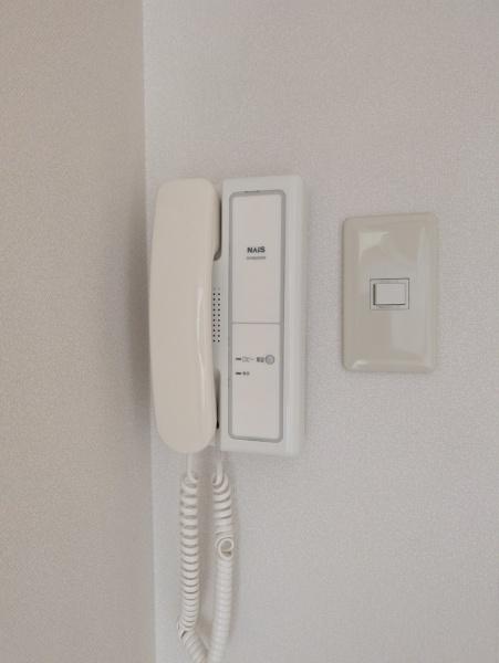 エバーグリーン植政