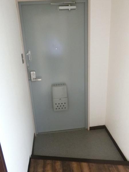 チェリーブロッサム