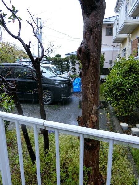 彦根市長曽根南町のアパート