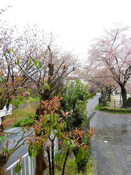 彦根市長曽根南町のアパート