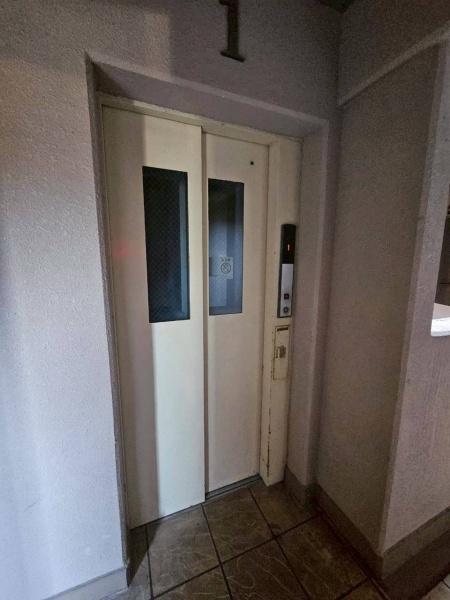 エバーグリーン植政