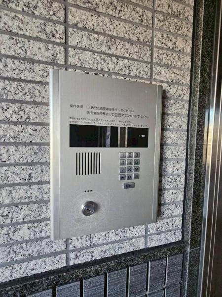 エバーグリーン植政