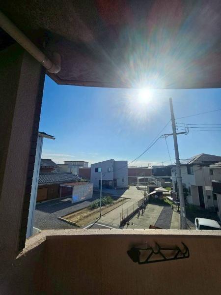 エバーグリーン植政