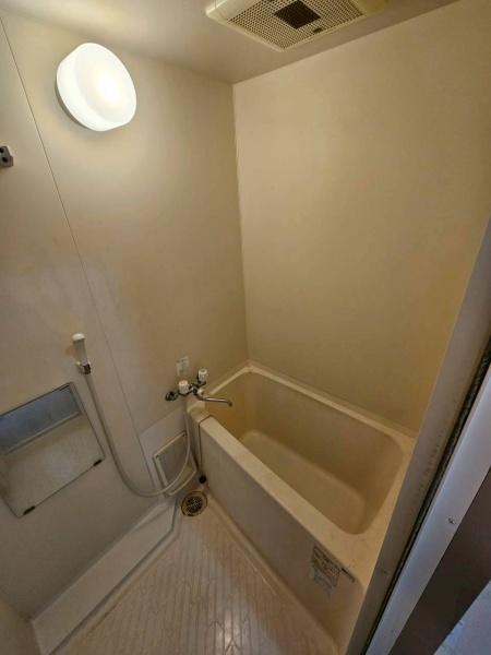 エバーグリーン植政