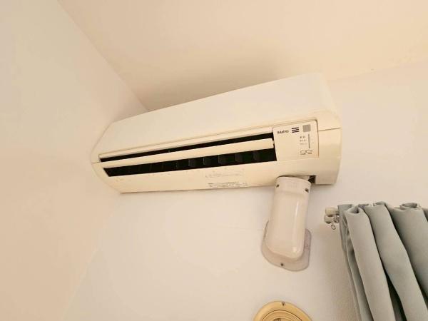 エバーグリーン植政