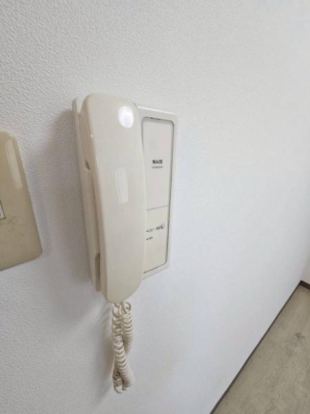 エバーグリーン植政