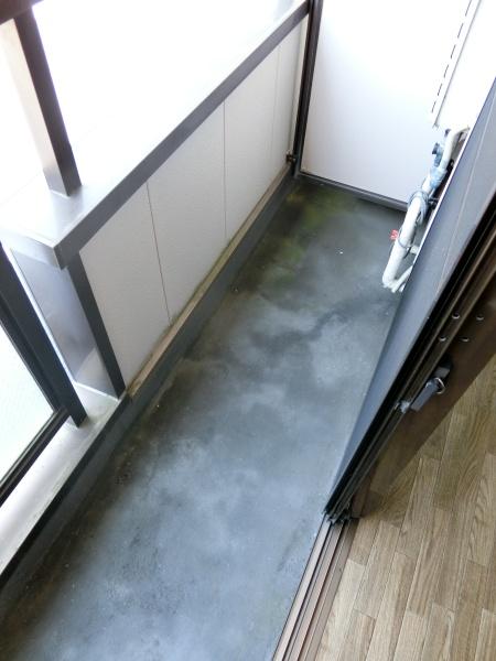 シャトーレ司