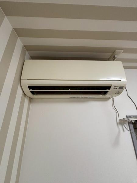 Ａｚａｌｅａ　Ｈｉｌｌｓ