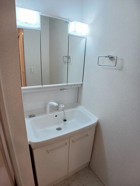 ウィズ・テール南彦根1号館(洗面台・洗面所)