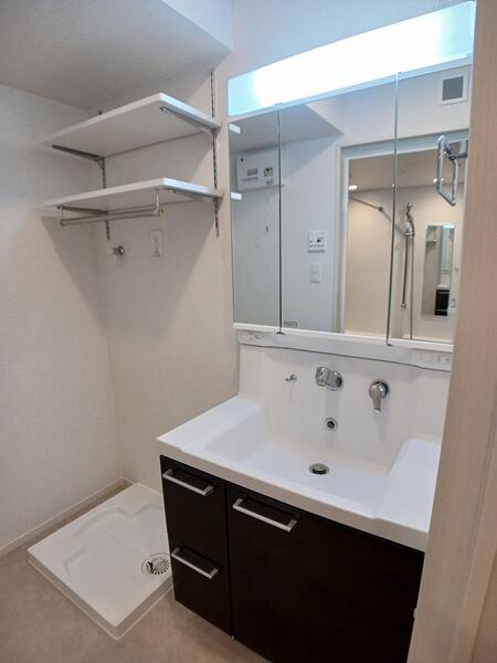 フルール彦根(洗面台・洗面所)