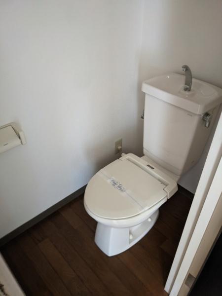 アドニス・ベルロード２