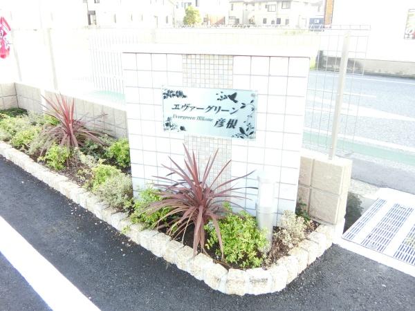 エヴァーグリーン彦根