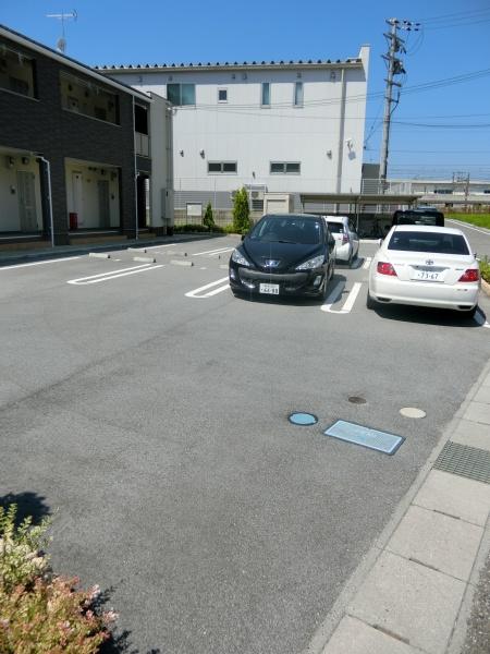 ラフェリア