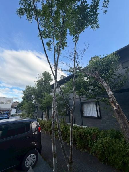 ウインディア今堀