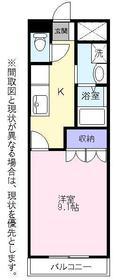 メゾン花水木