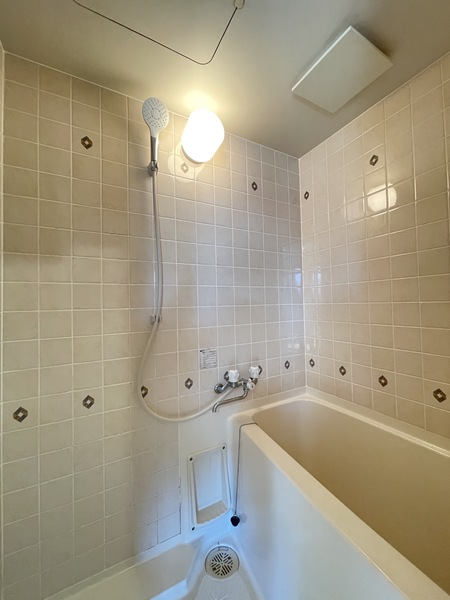 アルトハイム川崎