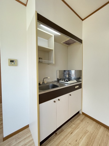 アルトハイム川崎