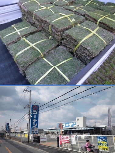 アルヴィータ(ホームセンターコーナン高槻店)