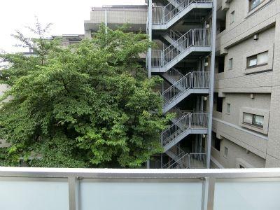 板橋区大山金井町のマンション
