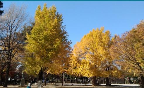 板橋区中台１丁目のマンション(板橋区平和公園)
