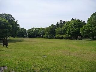 OHANACOURT-3