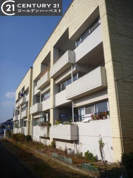 OHANACOURT-3