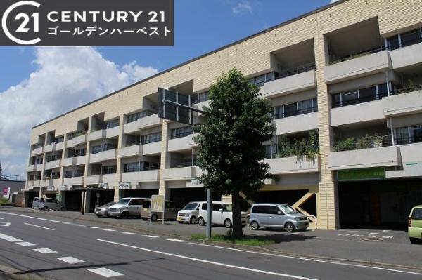 OHANACOURT-1