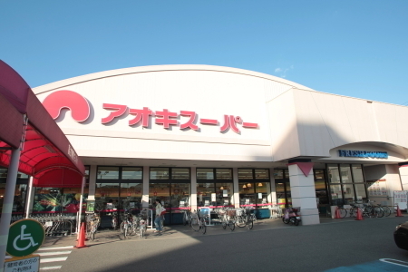 安城市新明町の貸家(アオキスーパー東明店)
