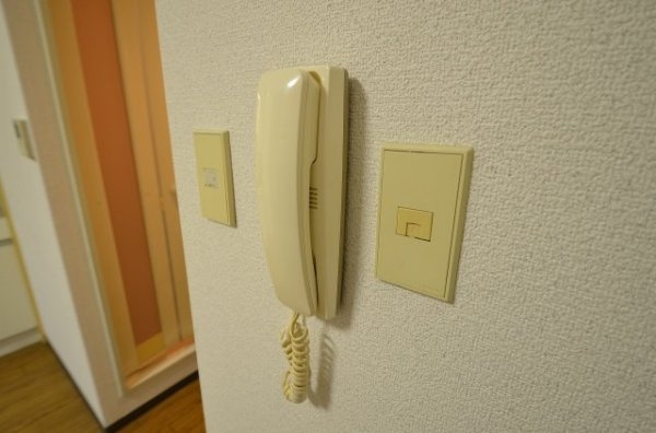プロシード立花