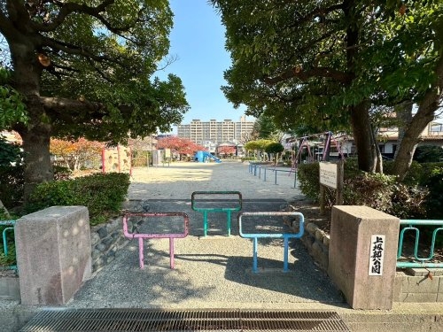ハイツセピア(上坂部公園)