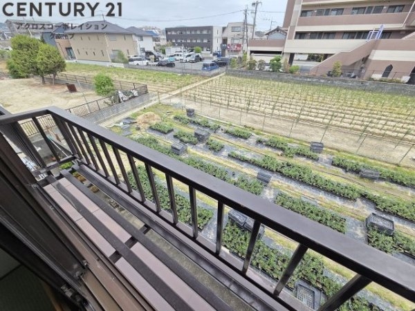 瑞ヶ池久保ハイツ