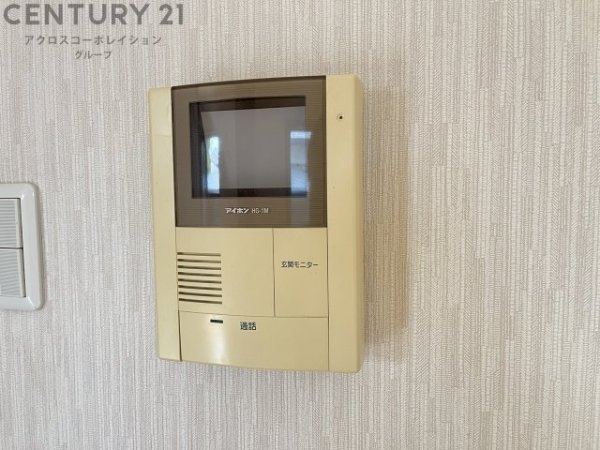 シャンドゥオルキデ