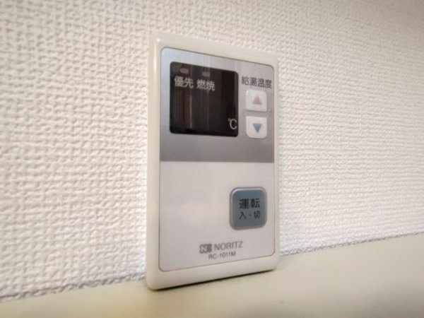 ループ若草