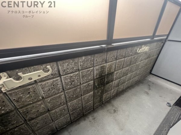 ステラハウス24