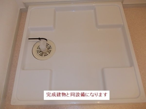 Ｂａｎｋｓｉａ（バンクシア）